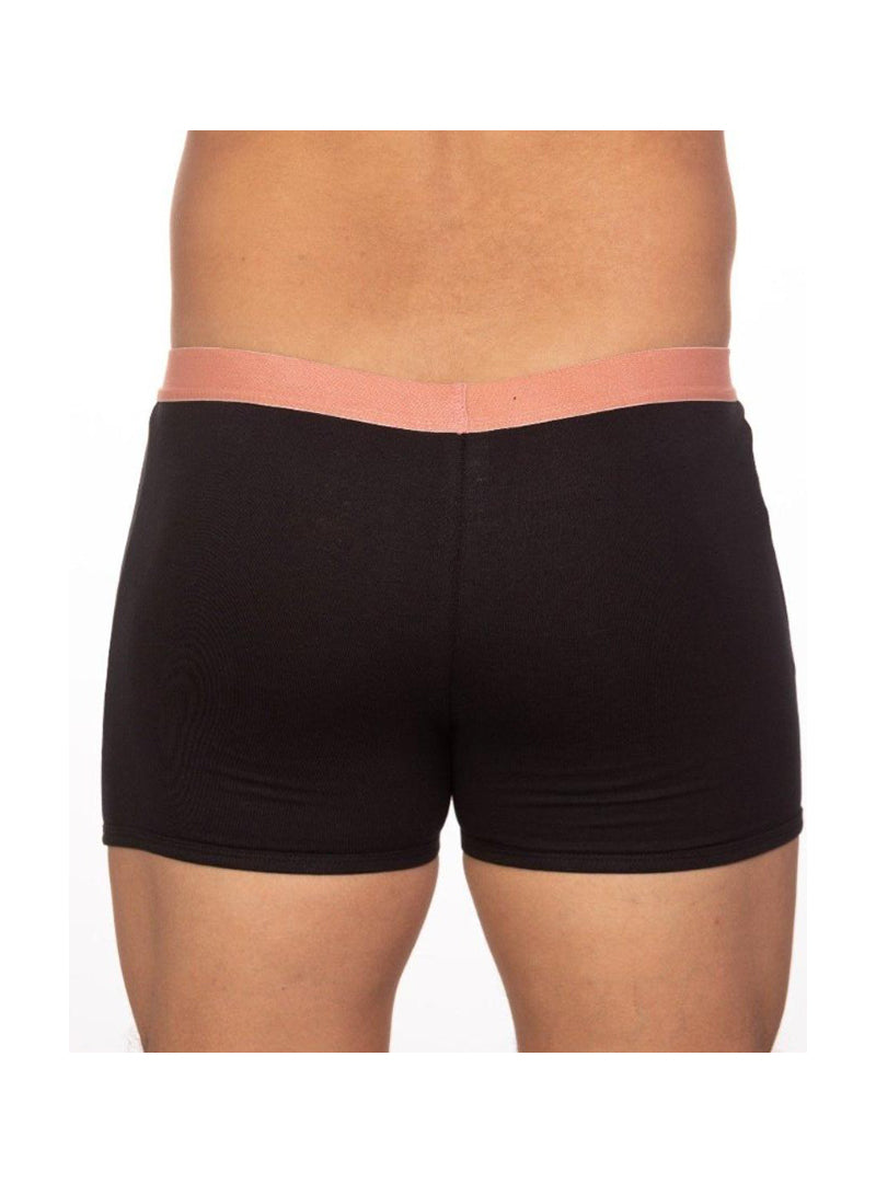 UNDERGEAR BASIX ALEX TWO TONE TRUNK